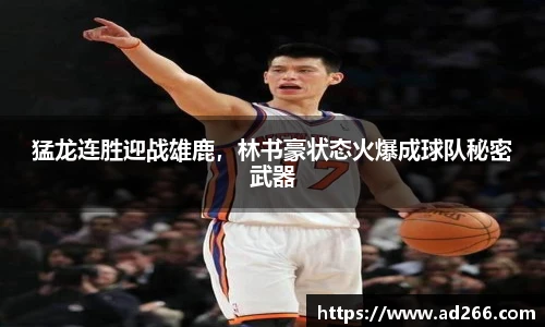 好博官网